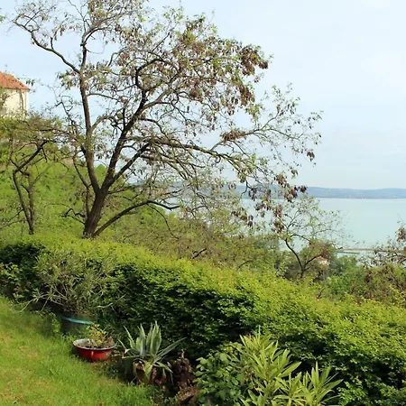 Csizmazia * Tihany